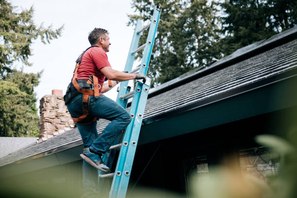 Best Roof Coating and Sealing  in Meron Park, CA
