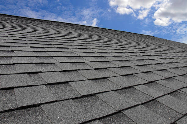 Best Skylight Installation and Repair  in Meron Park, CA
